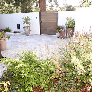 Menlo Oaks White Tent