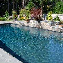 new backyard