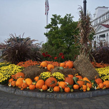 fall decor