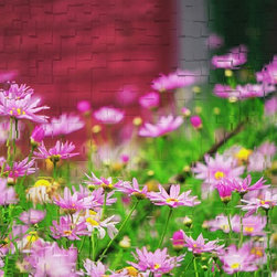 Fine Art Photography - Digital paintings - Products