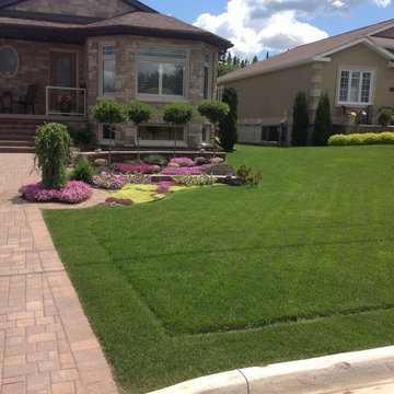 Driveway & Garden Bed