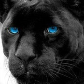 Betsy Barnes's photo