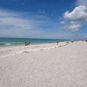 Susan Erlich's photo