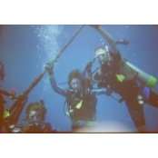 Frank Procopio's photo