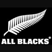 Mona Hashemi's photo