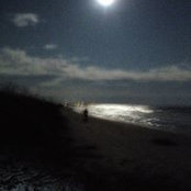 Stephen Gunter's photo