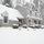 allison_young6326