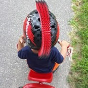 Alanine Rhenylalanine's photo