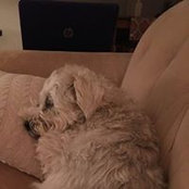 Cindy Cave's photo