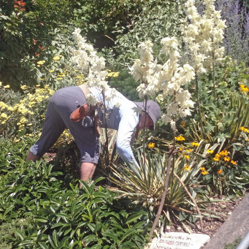 Community Service Public Gardens