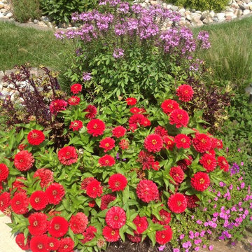 Flowers and Decorative Flower Pots