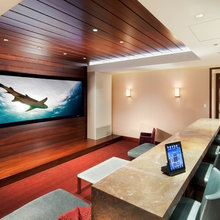 Living Room/Home Cinema