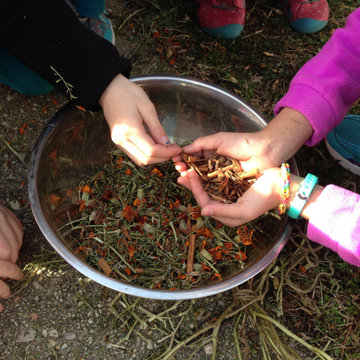Outdoor Classroom