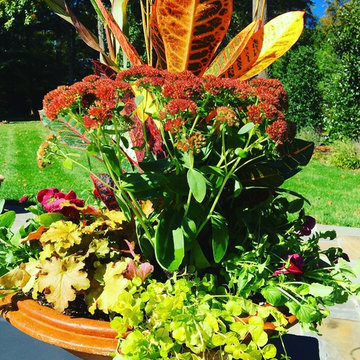 Fall Container Garden Design