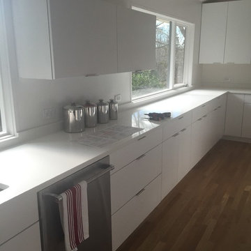 Kitchen Remodel (modern) - Rockville MD