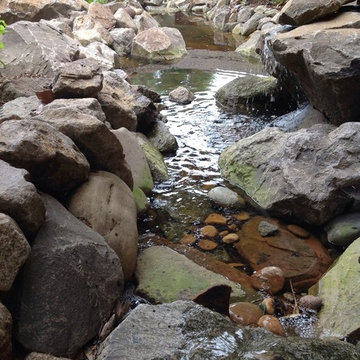 Creek Mountain View, more creek