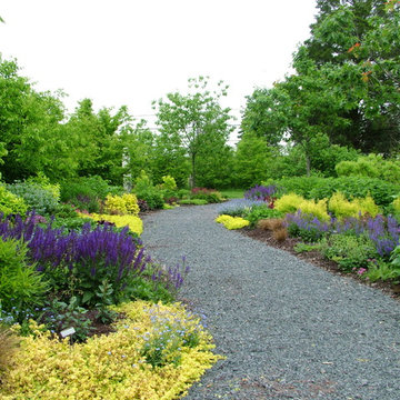 Deer Resistant Garden