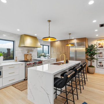 Full House Remodel (Richmond)