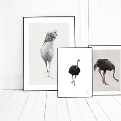 Prints - Prints And Posters