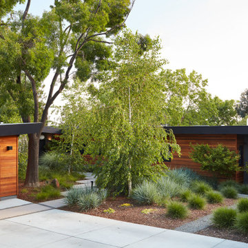 Los Gatos Garden