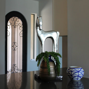 Sophisticated Contemporary Furnishings--Empty to Amazing
