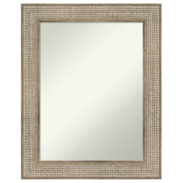 Trellis Silver Non-Beveled Wood Wall Mirror 24x30 in.