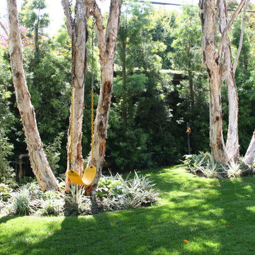 Mediterranean / Spanish