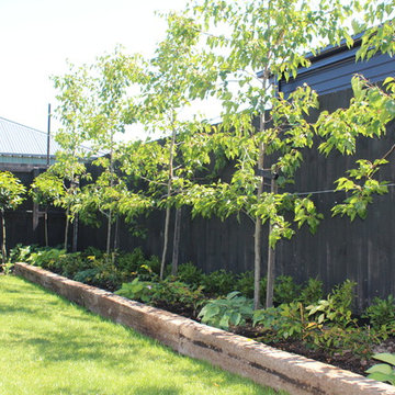 Christchurch residential project