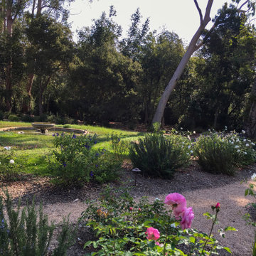 Montecito Meadow