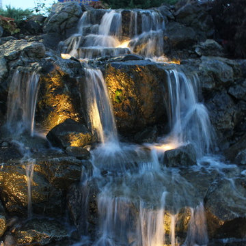 Pond Paradise Designs assorted photos