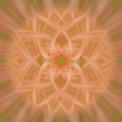 Honeysuckle Mandala - Photographs