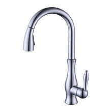 Kitchen Faucet