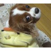 Chizuko Yoshida's photo