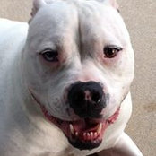 Kelly Ream's photo