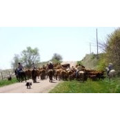 Kinsy Ryan's photo