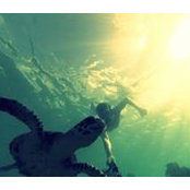 Jannik Keller's photo