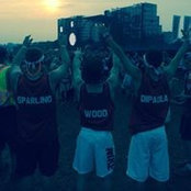 Foto von Brandon Wood