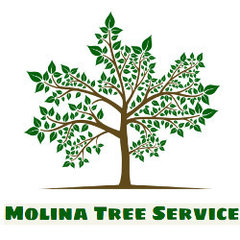 Molina Tree Service