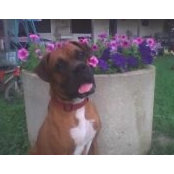 Sharon Paysse's photo