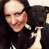 Beth Lazar's photo