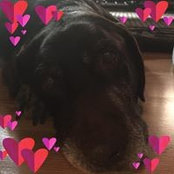 Tianna Korving-Koster's photo
