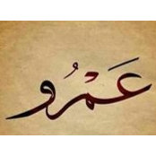Amr Abdo's photo