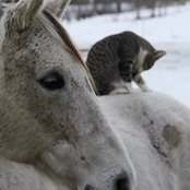 Kim Davis's photo