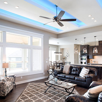 Living Rooms
