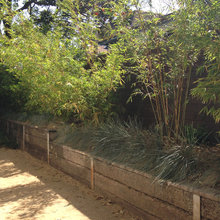 Driveway Improvements