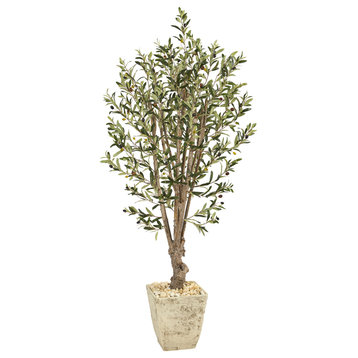 5' Olive Artificial Tree, Country White Planter