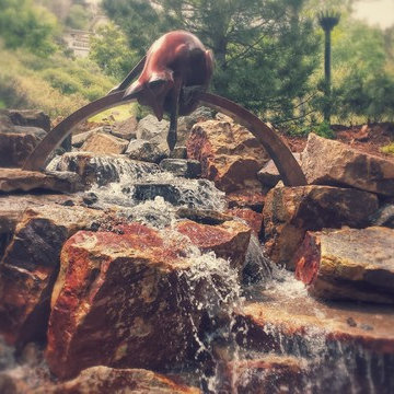 Foxy Colorado Stream