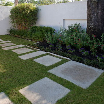Temple Terrace Resience