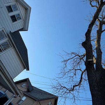 Tree & Landscaping services