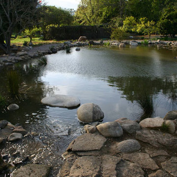 Landscapes